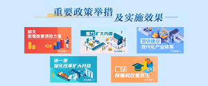 重要政策舉措及實施效果