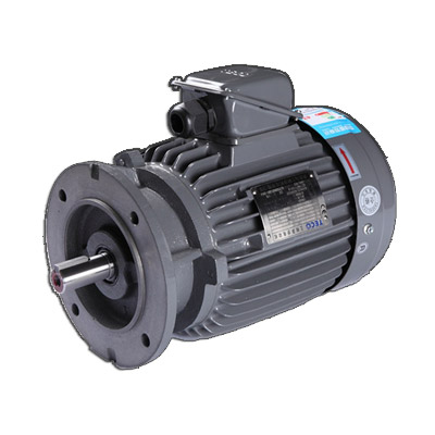 AEVF 1HP（0.75KW）4P東元電機